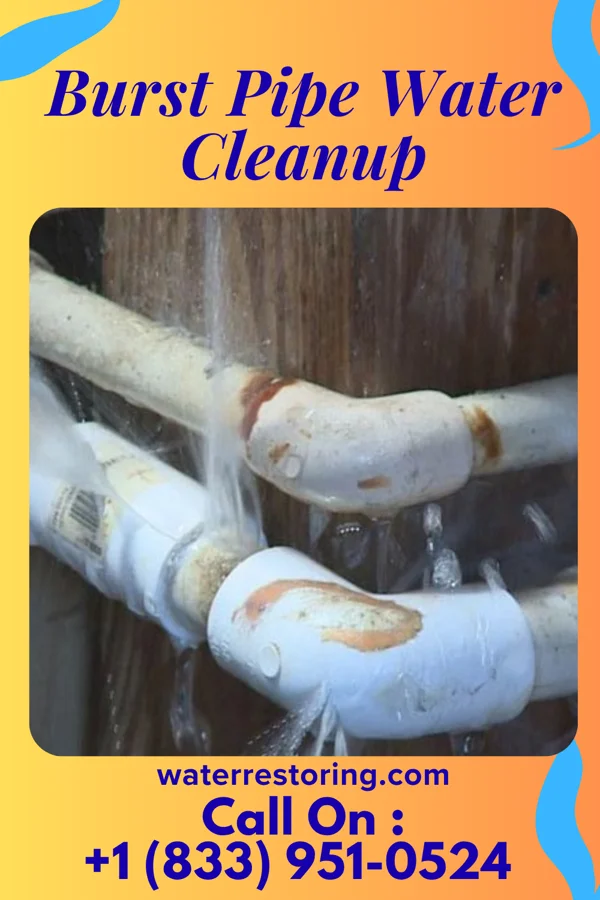 Burst Pipe Water Cleanup in Nixon, TN