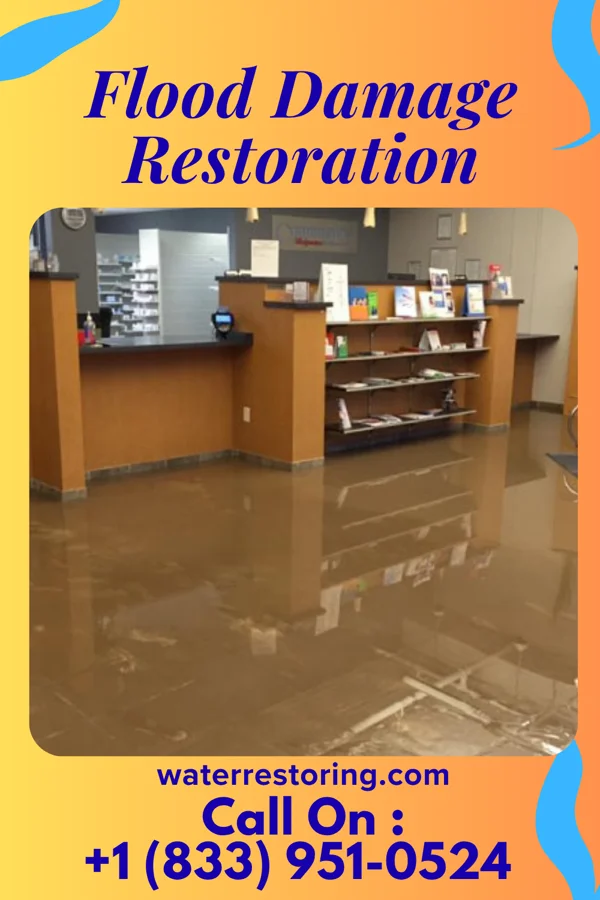 Flood Damage Restoration in Nixon, TN