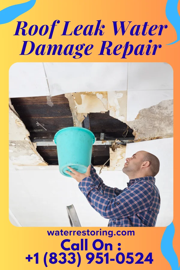 Roof Leak Water Damage Repair in Nixon, TN