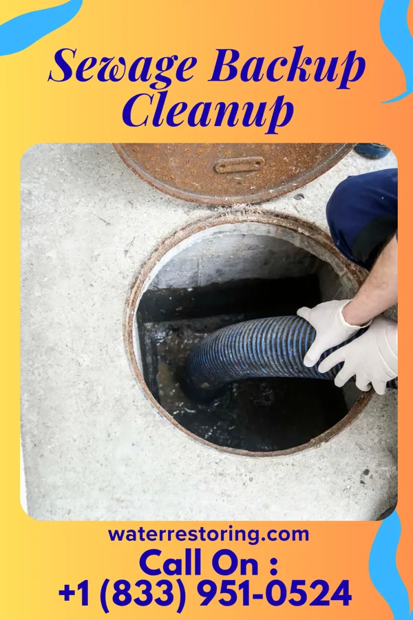 Sewage Backup Cleanup in Nixon, TN